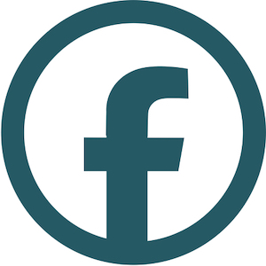 Facebook_Logo_Primary